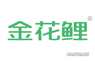 金花鲤 