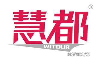 慧都 WITDUR