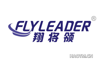 翔将领 FLYLEADER