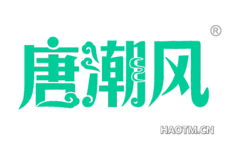唐潮风 
