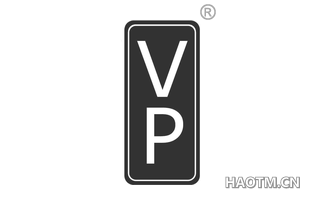  VP