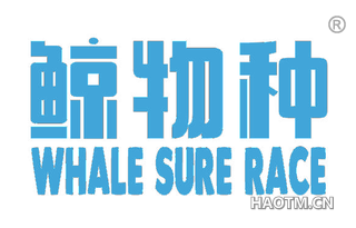 鲸物种 WHALE SURE RACE