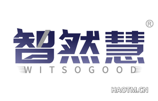 智然慧 WITSOGOOD