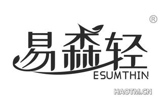 易森轻 ESUMTHIN