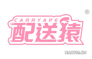 配送猿 CARRYAPE