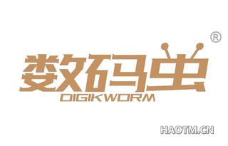 数码虫 DIGIKWORM