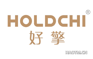 好擎 HOLDCHI