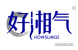 好湘气 HOWSUMQI