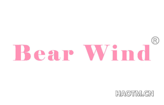 BEAR WIND