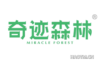 奇迹森林 MIRACLE FOREST