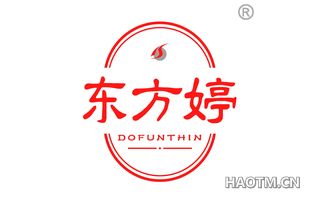 东方婷 DOFUNTHIN