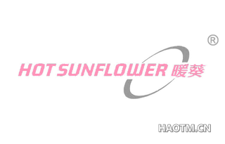暖葵 HOTSUNFLOWER