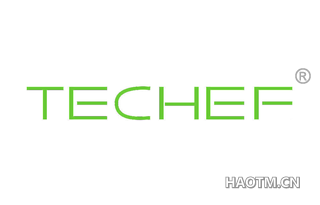  TECHEF