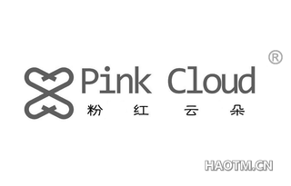 粉红云朵 PINK CLOUD