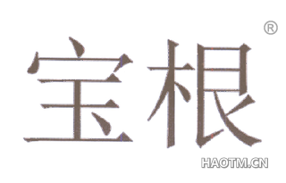 宝根 