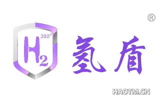 氢盾 
