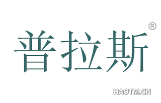 普拉斯 