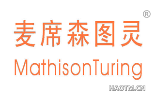 麦席森图灵 MATHISONTURING