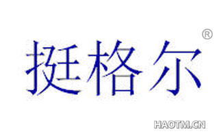 挺格尔 