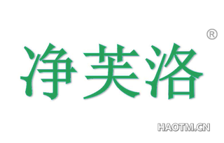 净芙洛 