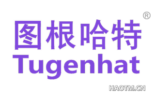 图根哈特 TUGENHAT