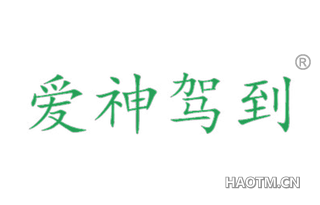 爱神驾到 