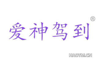 爱神驾到 