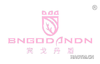 宾戈丹盾 BNGODANDN