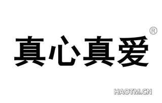 真心真爱 