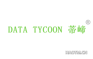 蒂崹 DATA TYCOON