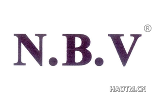  N B V
