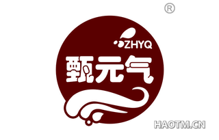 甄元气 ZHYQ