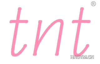  TNT