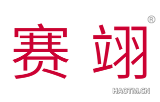 赛翊 