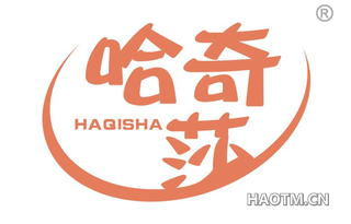 哈奇莎 