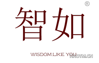 智如 WISDOM LIKE YOU