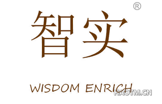 智实 WISDOM ENRICH