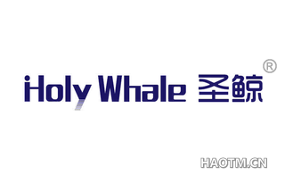 圣鲸 HOLY WHALE