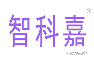 智科嘉 