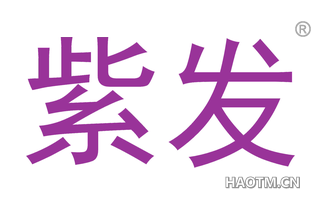 紫发 