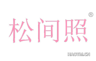 松间照 