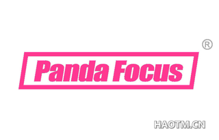  PANDA FOCUS