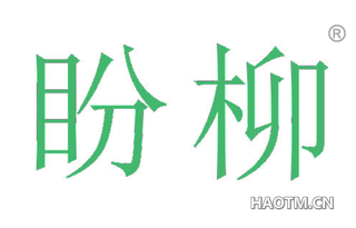 盼柳 