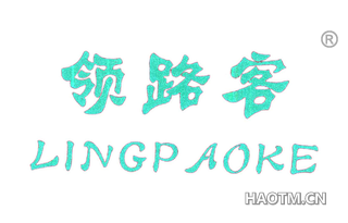 领路客 LINGPAOKE