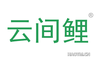 云间鲤 