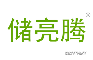 储亮腾 