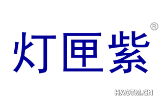 灯匣紫 