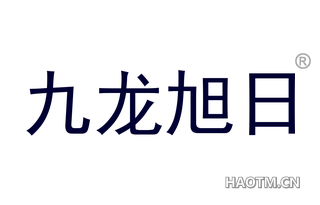 九龙旭日 