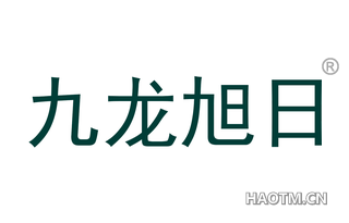 九龙旭日 