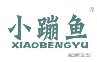 小蹦鱼 